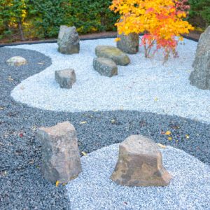 Small Japanese garden in autumn colors.