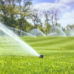 watering a green grass against a blue sky background with clouds and trees